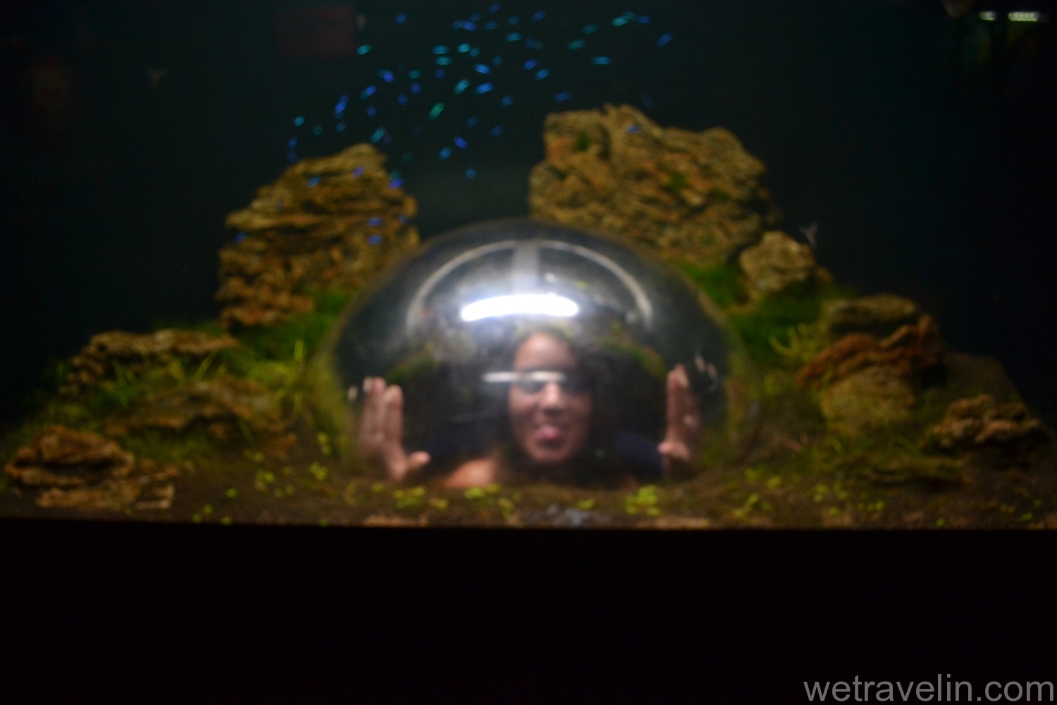аквариум с обзорной точкой