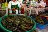 рыбный рынок на Боракае