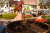 рыбный рынок на Боракае