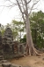 храм и деревья