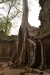 величественный храм Ангкора