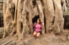 огромные корни в храме Ангкор