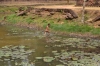 озеро и купающийся мальчик в нем