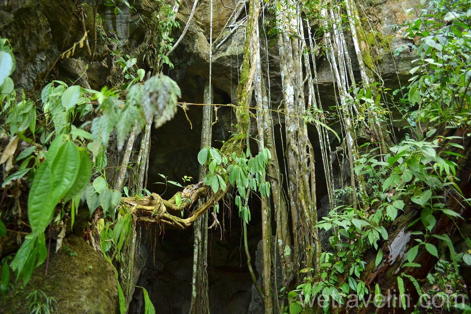 пещера в Букит Лаванге