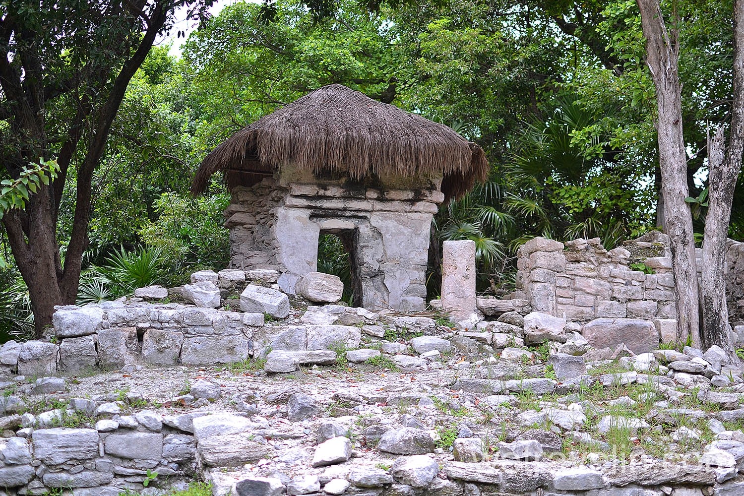 руины майя в playacar