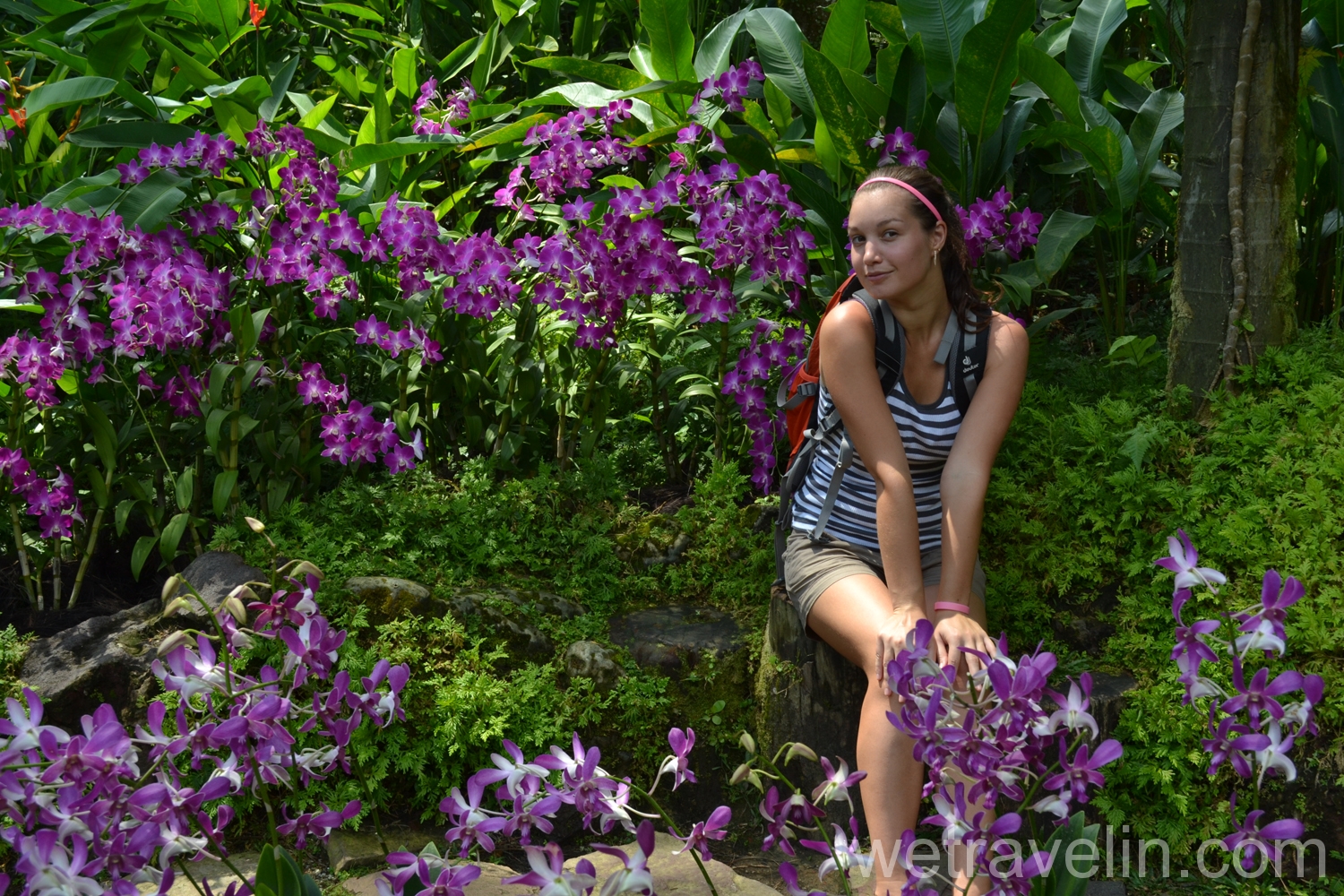 сад орхидей в парке Сингапура