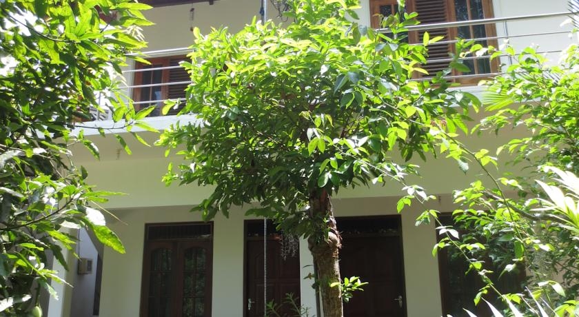 частный отель на Шри-Ланке