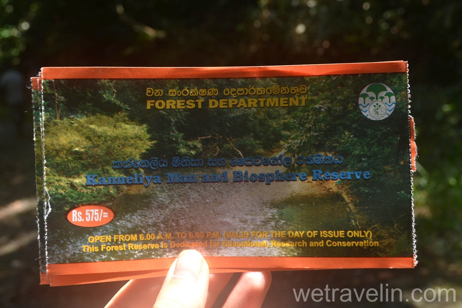билет на вход в лес Каннелия