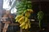 молочные бананы