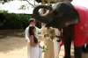 свадебная церемония на Шри Ланке