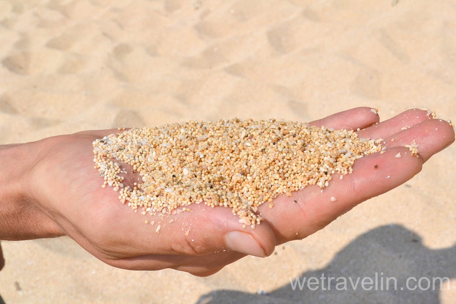 Песчинки песка