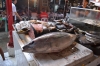 тунец на рыбном рынке Боракая